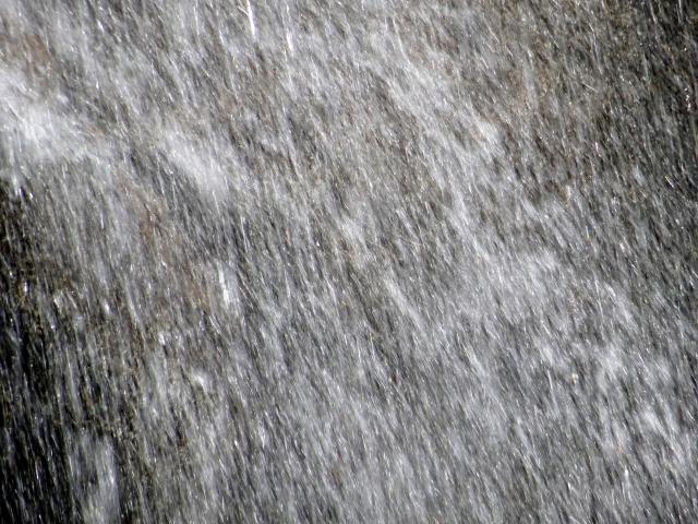 横殴りの雨