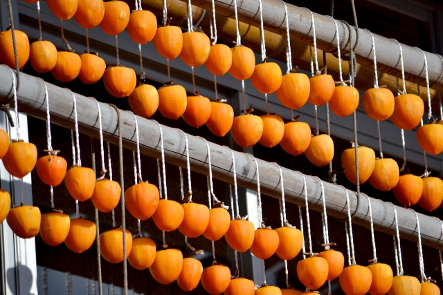 たくさん吊るされたオレンジ色の柿