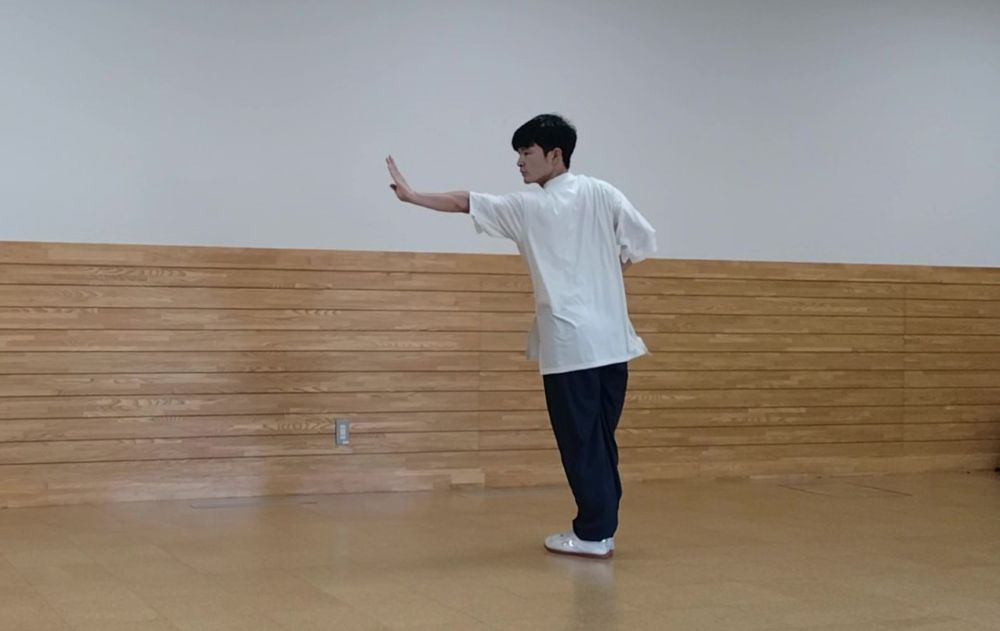 真っ直ぐ立って左手を押し出している