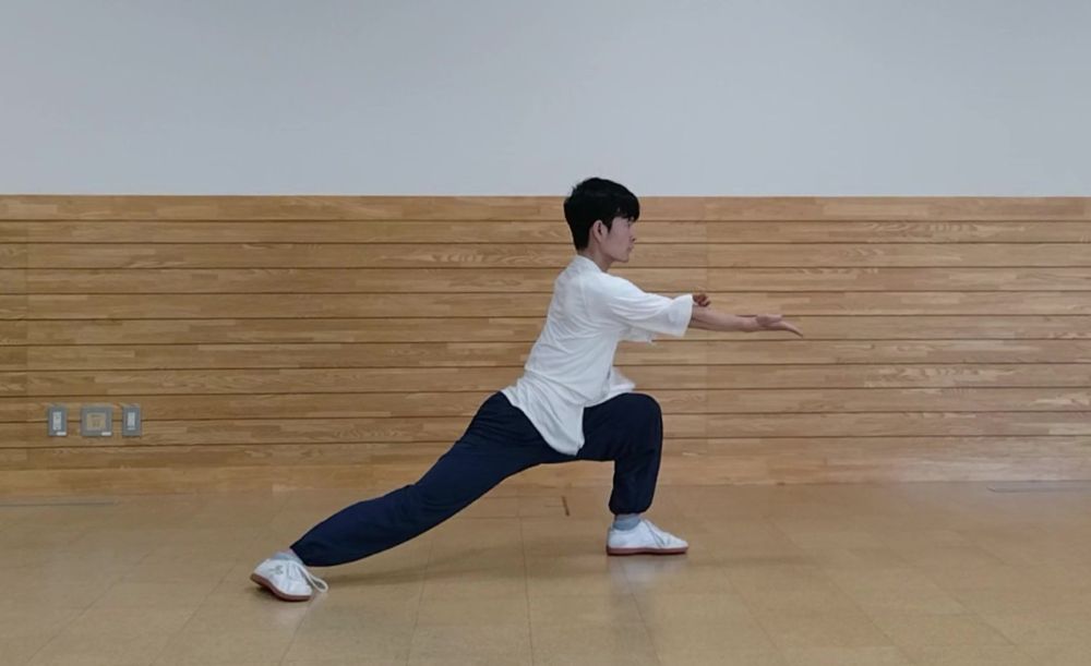 右掌を下から前下へ打ち出した